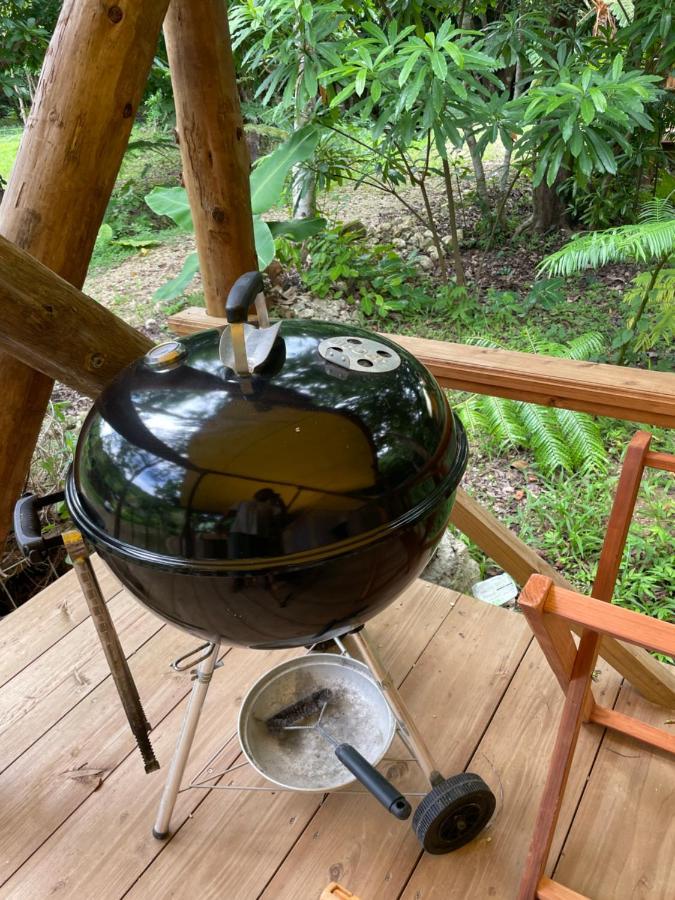 豪华帐篷 Ecostay Glamping Rainbow Forest