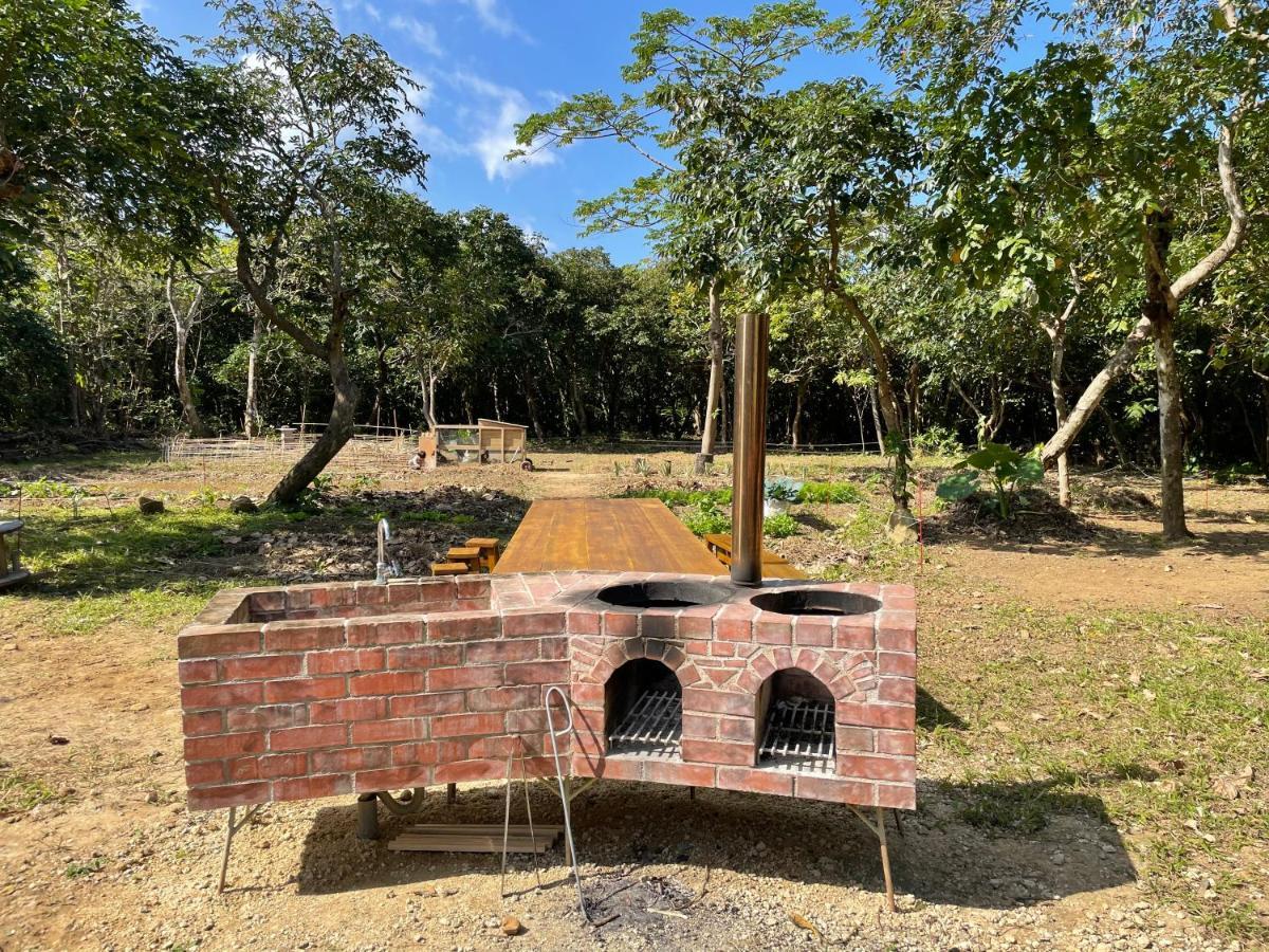 Ecostay Glamping Rainbow Forest
