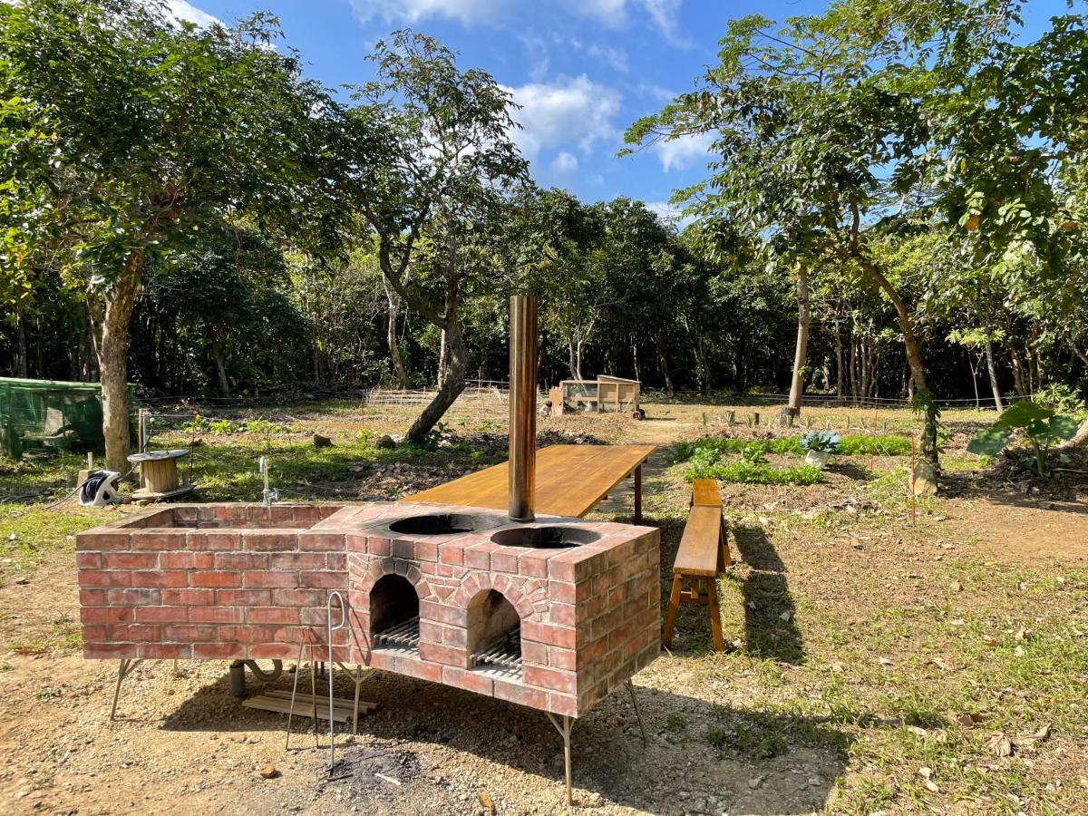 豪华帐篷 Ecostay Glamping Rainbow Forest