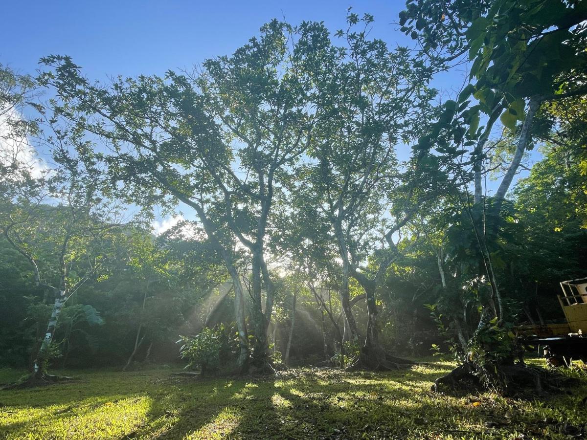 Ecostay Glamping Rainbow Forest 豪华帐篷 Ishigaki (Okinawa)